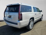 2020 Cadillac Escalade ESV Platinum