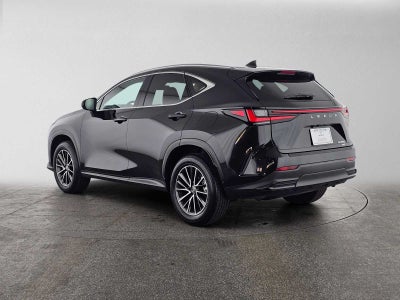2024 Lexus NX 350 NX 350