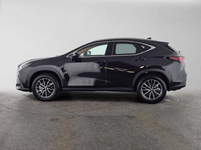 2024 Lexus NX 350 NX 350