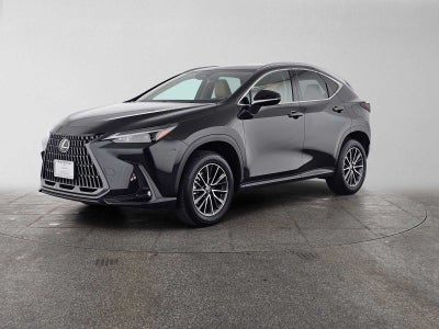 2024 Lexus NX 350 NX 350