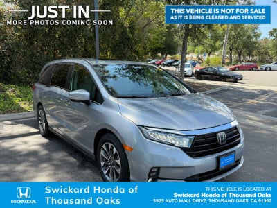 2023 Honda Odyssey EX-L
