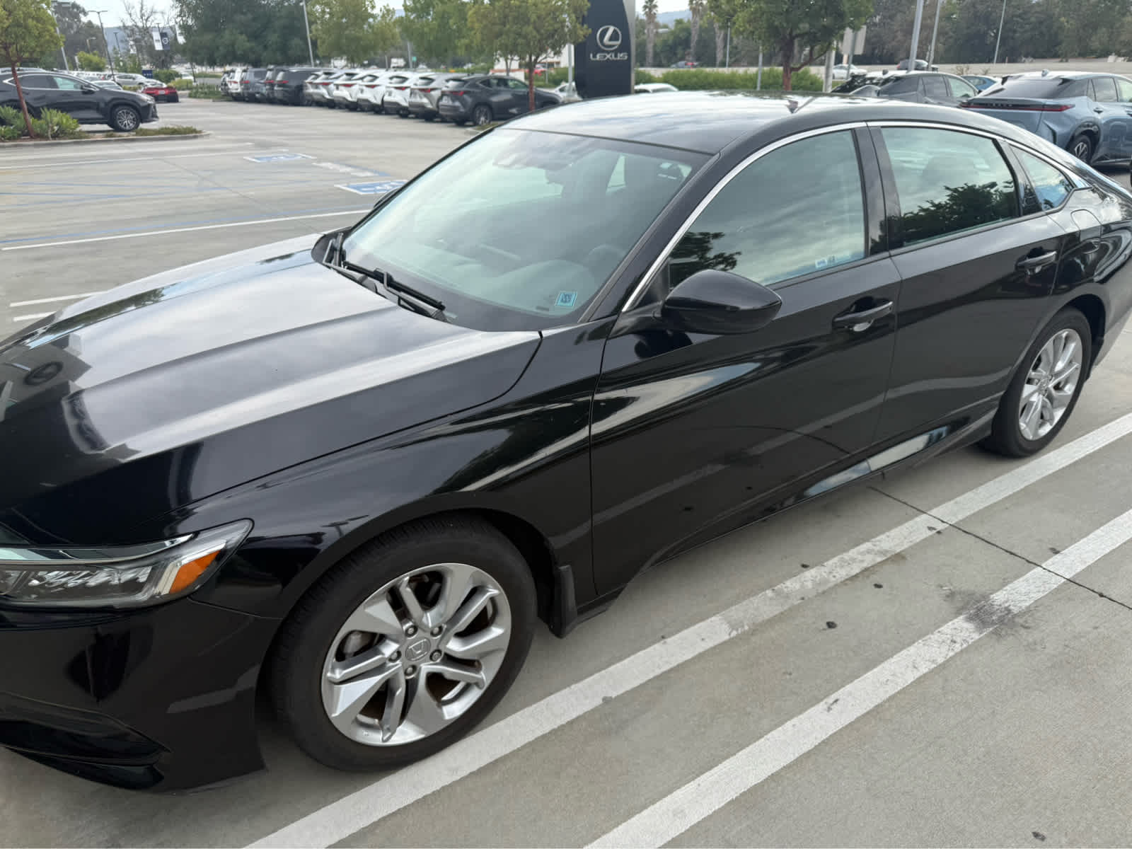 2019 Honda Accord Sedan LX 1.5T