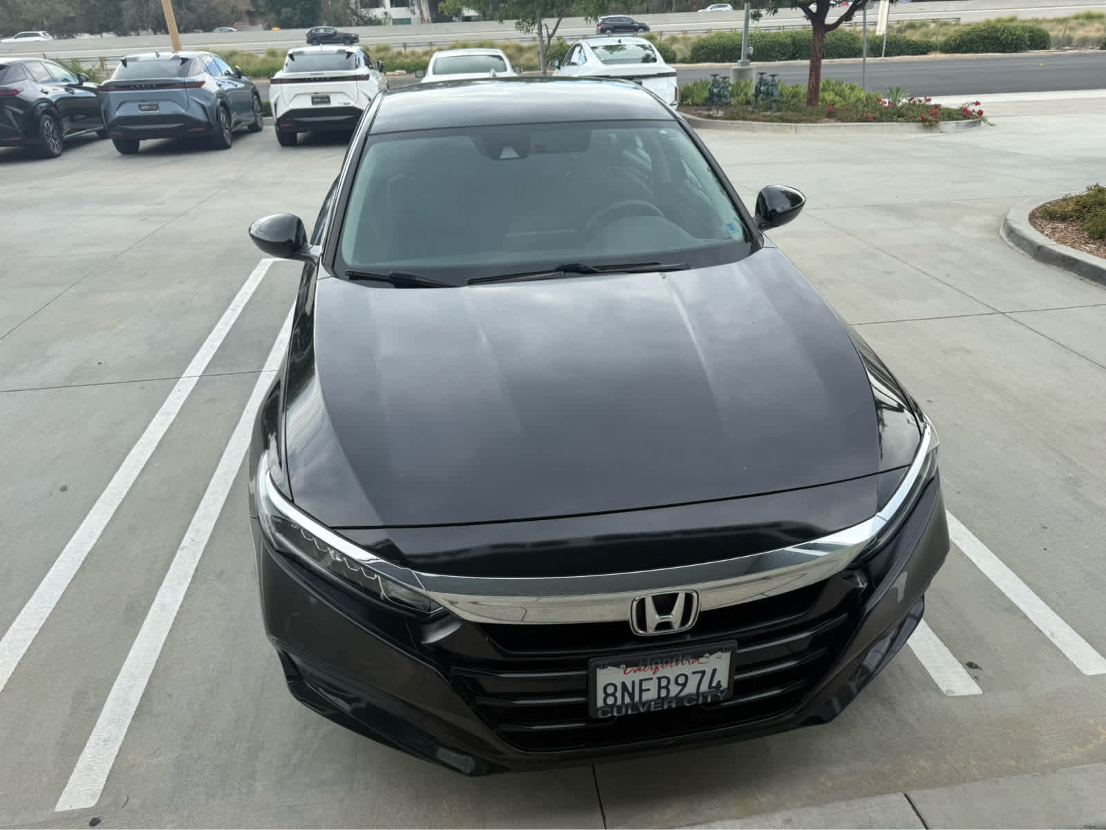 2019 Honda Accord Sedan LX 1.5T