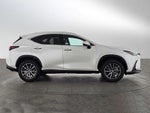 2025 Lexus NX NX 250