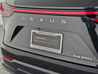2025 Lexus NX 250 NX 250