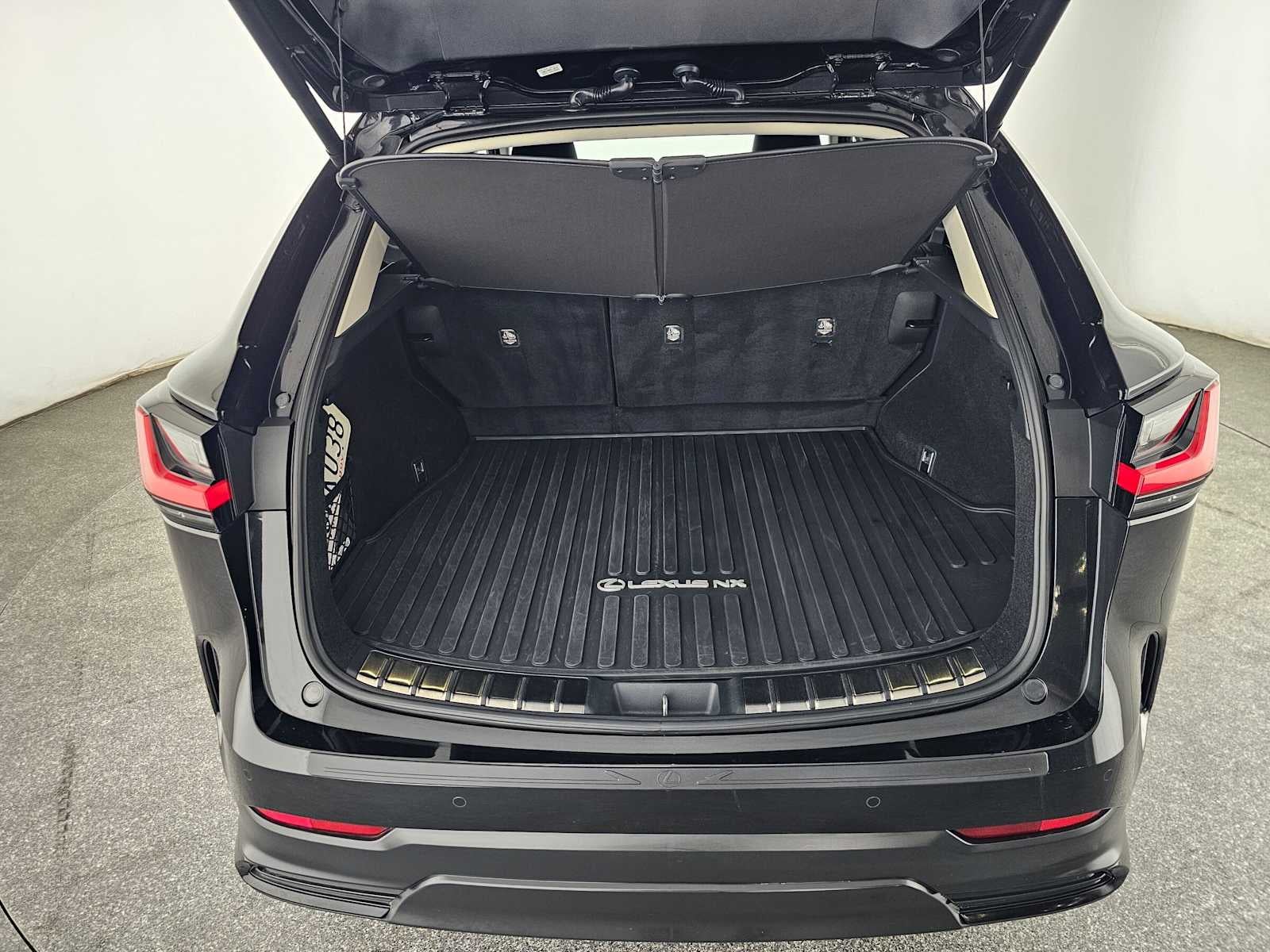 2025 Lexus NX 250 NX 250