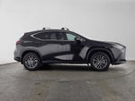 2025 Lexus NX 250 NX 250