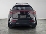 2025 Lexus NX 250 NX 250