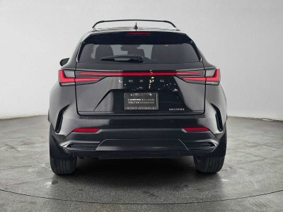 2025 Lexus NX 250 NX 250
