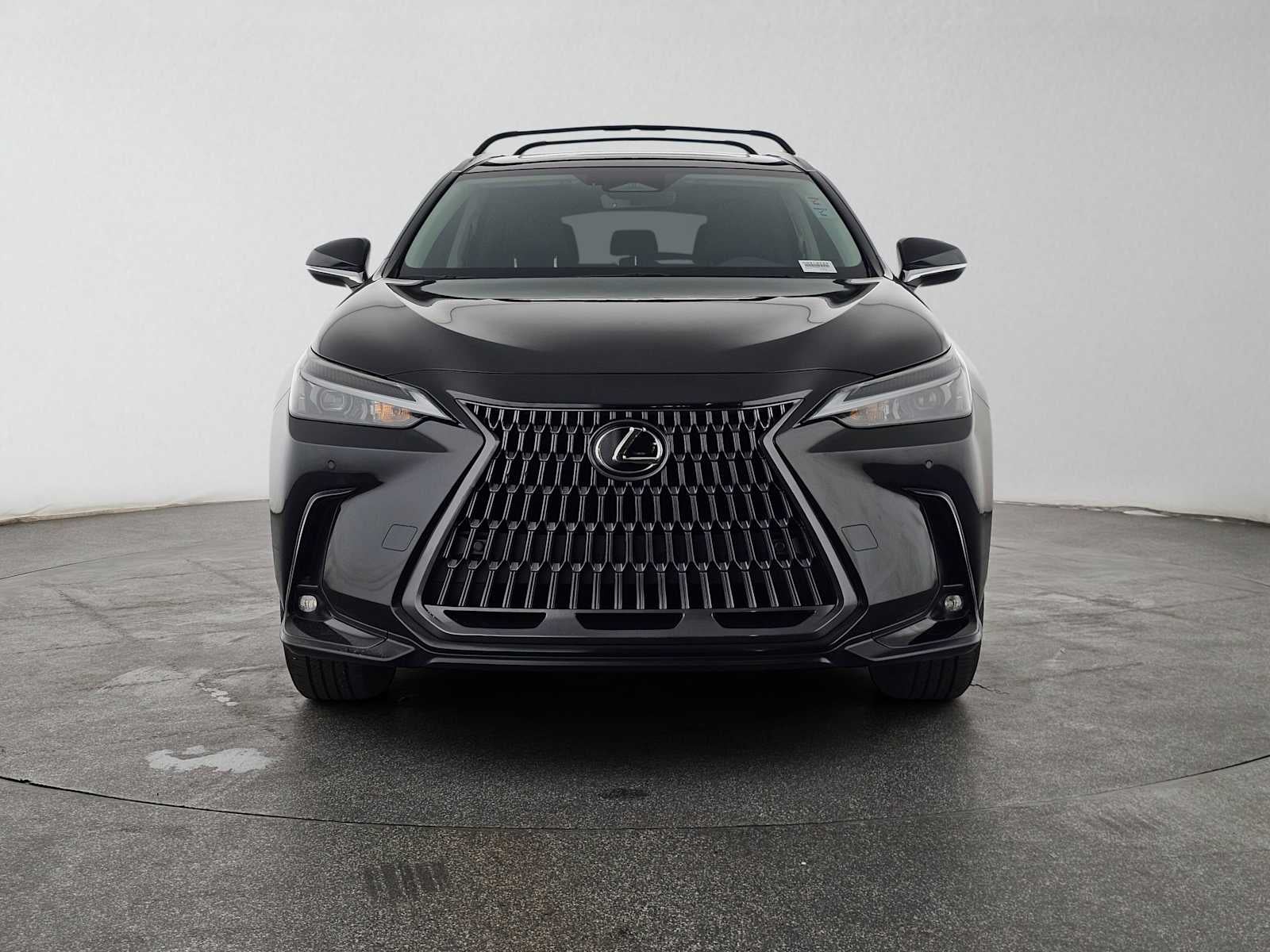 2025 Lexus NX 250 NX 250