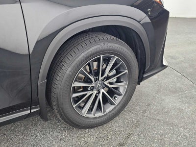2025 Lexus NX 250 NX 250