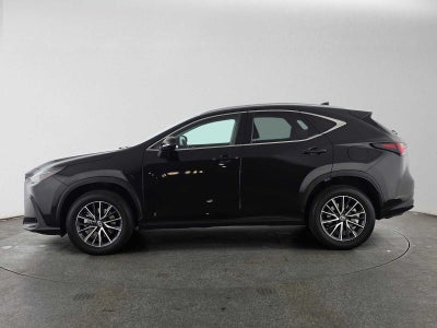 2024 Lexus NX 350 NX 350