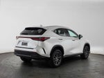 2024 Lexus NX 350 NX 350