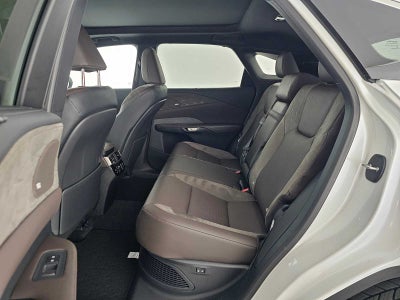 2025 Lexus RX Luxury