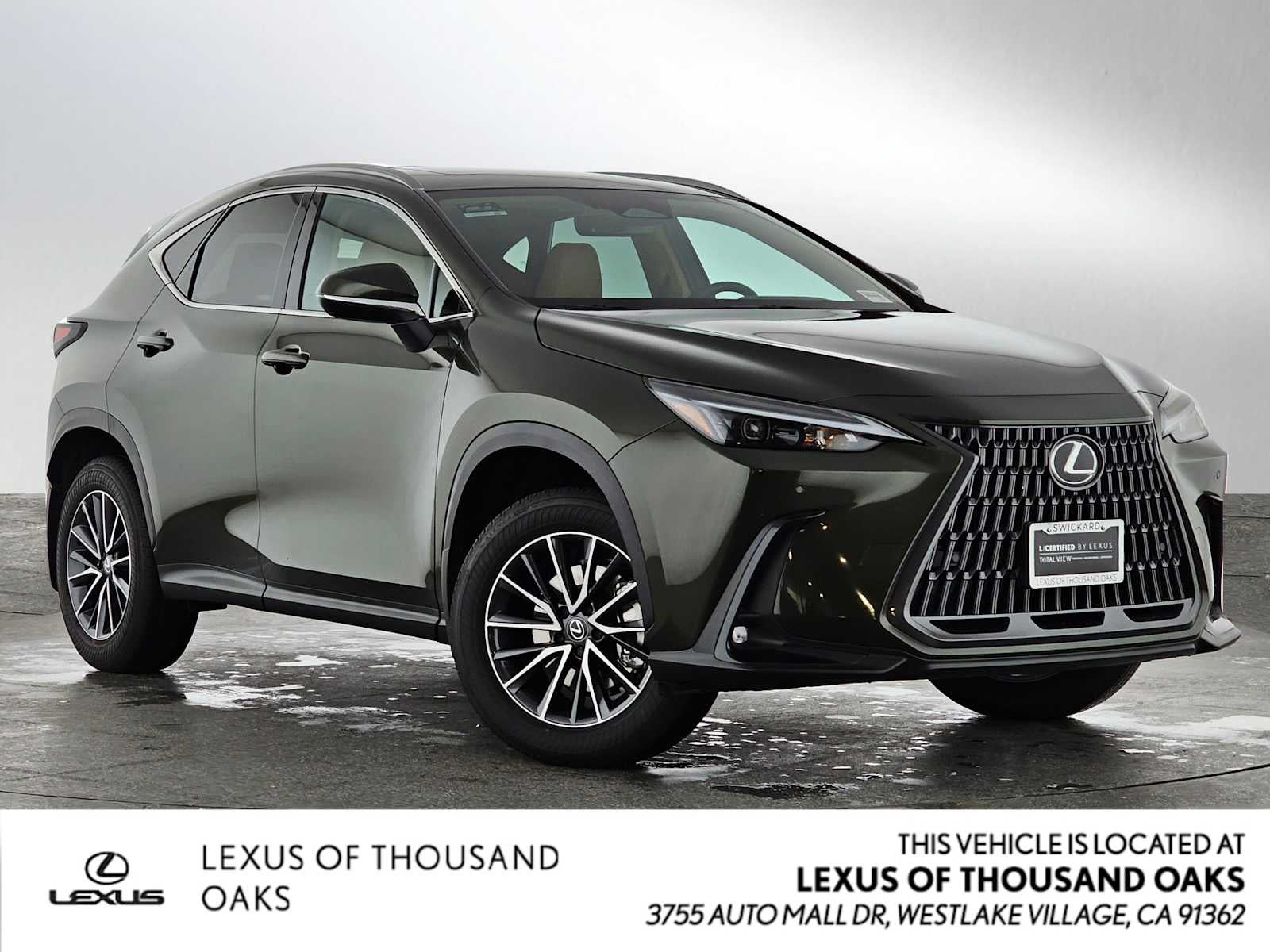 2025 Lexus NX Premium