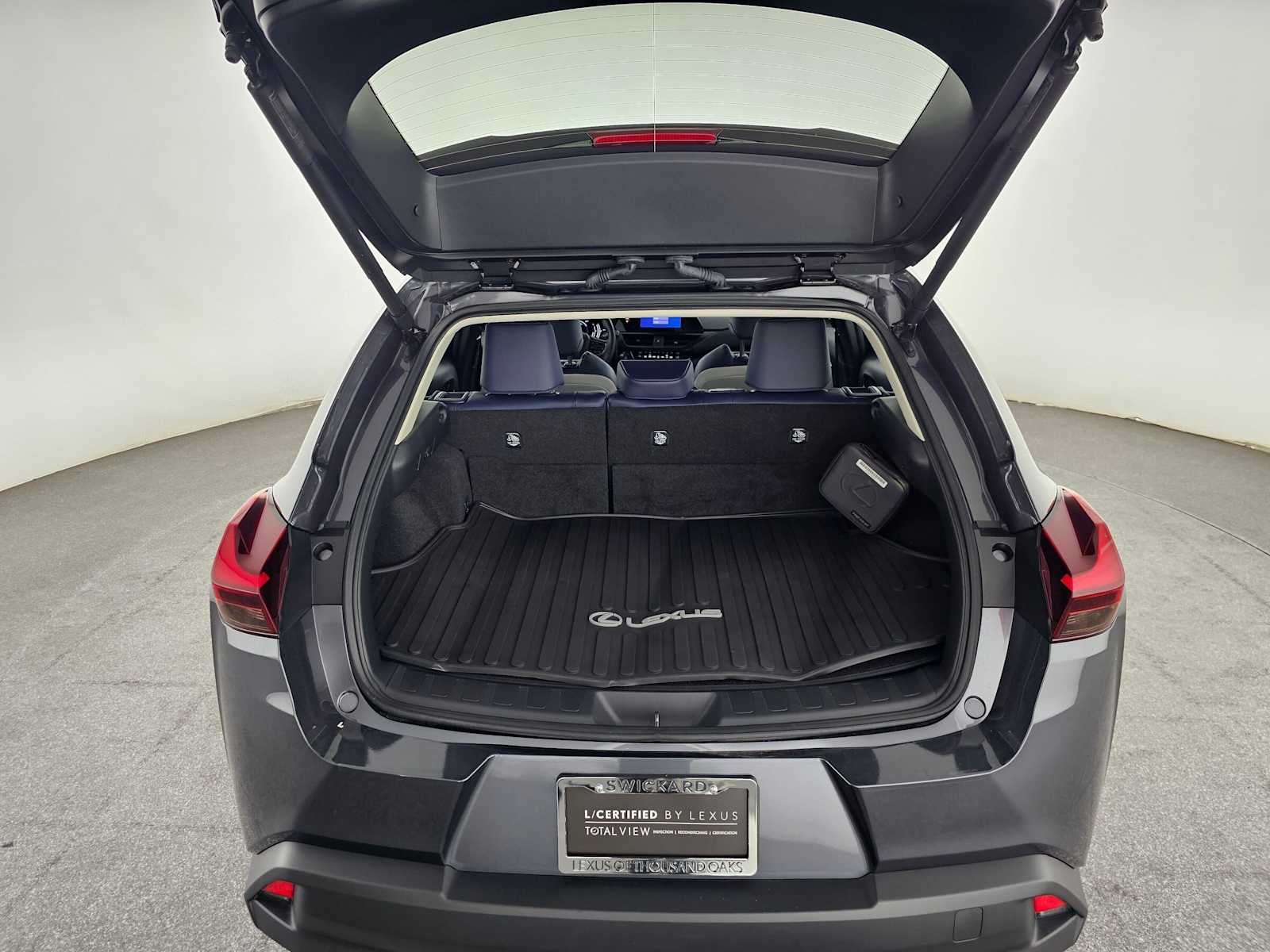 2025 Lexus UX 300h UX 300h