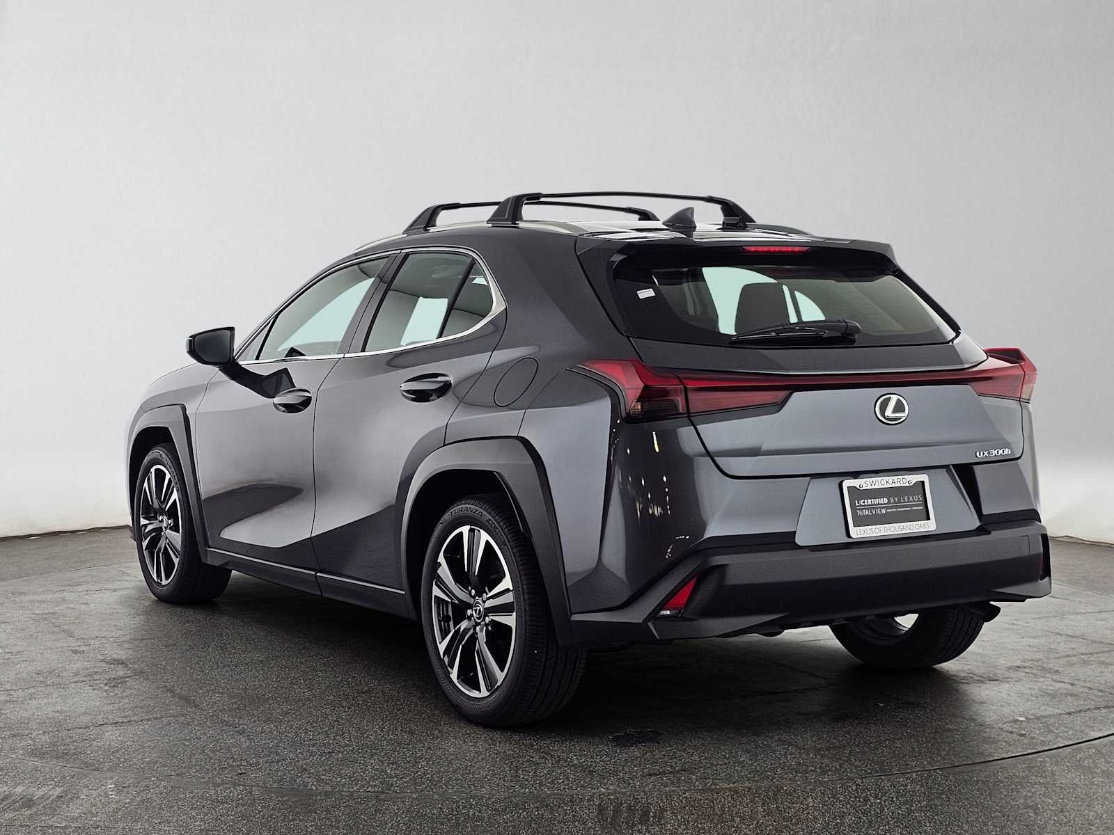 2025 Lexus UX 300h UX 300h