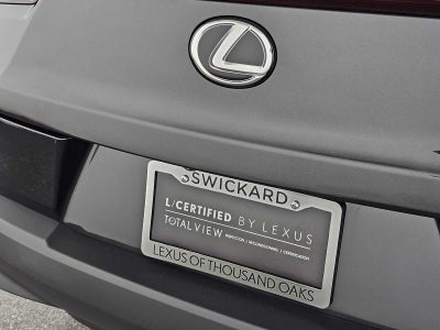 2025 Lexus UX 300h UX 300h