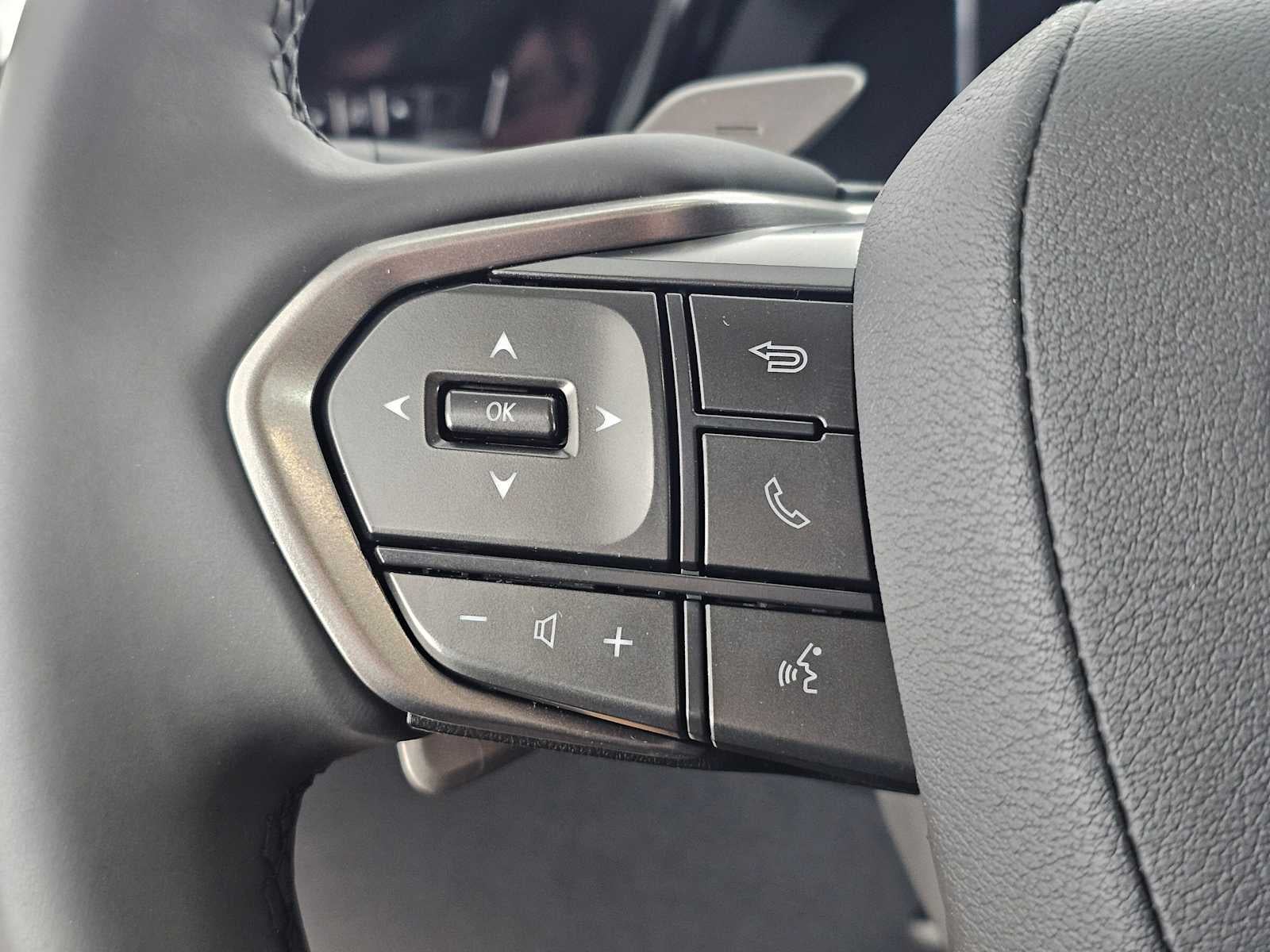 2024 Lexus RZ Premium