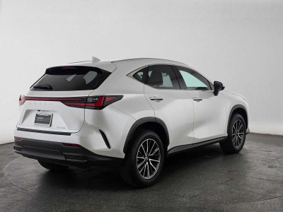 2025 Lexus NX 250 NX 250