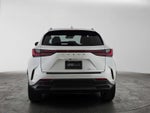 2025 Lexus NX 250 NX 250
