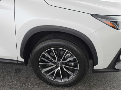 2025 Lexus NX 250 NX 250