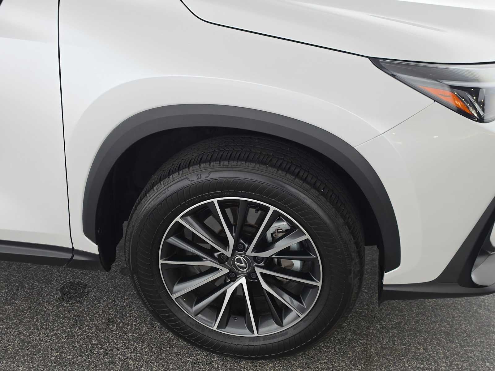 2025 Lexus NX 250 NX 250