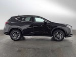 2024 Lexus NX 350h NX 350h