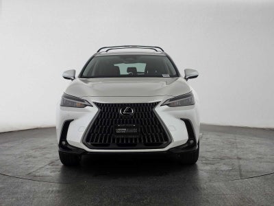2025 Lexus NX 250 Premium