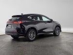 2024 Lexus NX 350h Premium