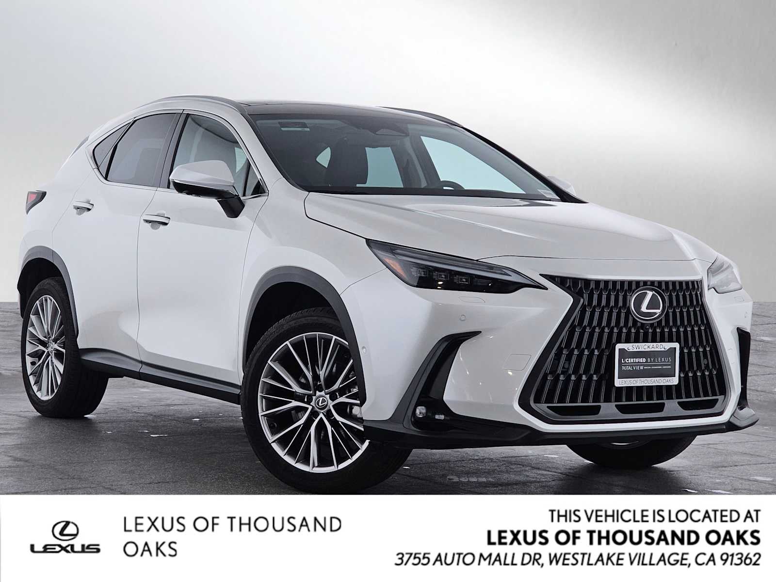 2025 Lexus NX Luxury