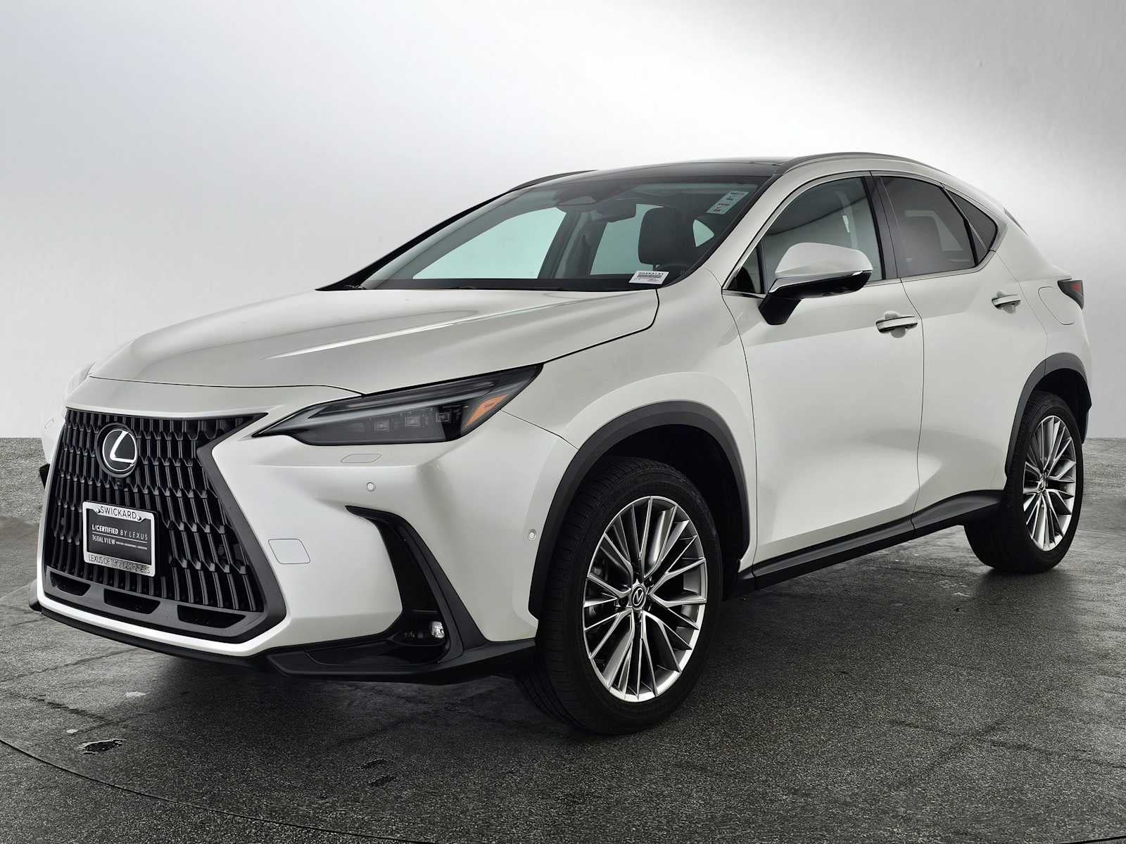 2025 Lexus NX Luxury
