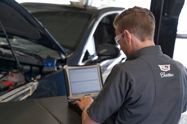 Spring Allergy Relief Special - $50 OFF Cabin Filter Replacement